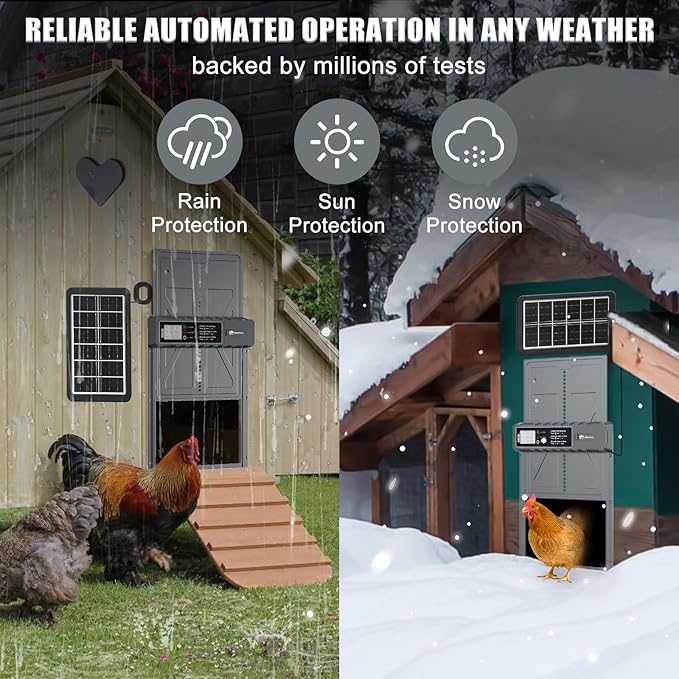 Automatic Chicken Coop Door Solar Powered with Timer, Remote Control, Manual Mode, Anti-Pitch Aluminum Alloy Auto Chicken House Door for Chicken, Duck, Poultry, Weatherproof, Blue