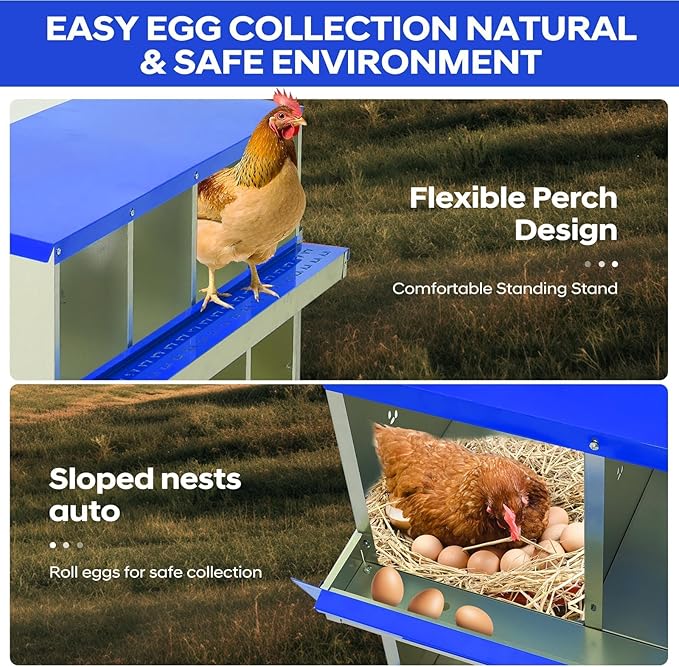Two-Tier Removable Tray Design - Chicken Nesting Box for Small Animals - 10 Compartments, Galvanized Steel, Large Vented Holes, Wall Mount or Freestanding, Easy Clean - Blue, 10 Compartments ZW