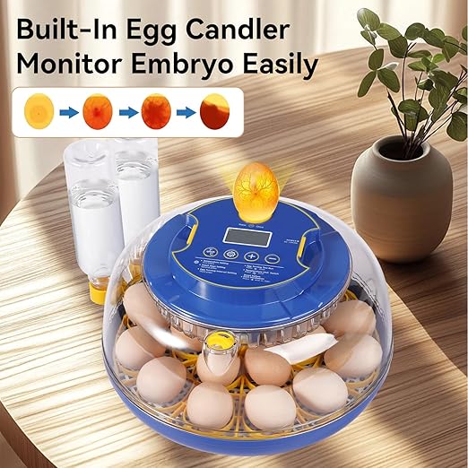 18 Egg Incubators for Hatching Eggs, Chicken Egg Incubator with Automatic Egg Turning and Temperature Humidity Control, 360° Clear View Lid or Home, Farm, Classroom, Hatching Chicken, Duck,Quail,Goose