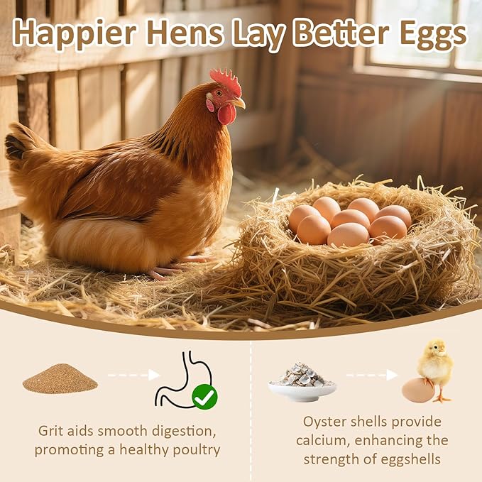 2 Pack Chicken Oyster Shell Feeder and Grit Feeder, Large Hanging Metal Chicken Feeder with Lid, Automatic Gravity Poultry Chicken Feeder No Waste, Chicken Coop Accessories