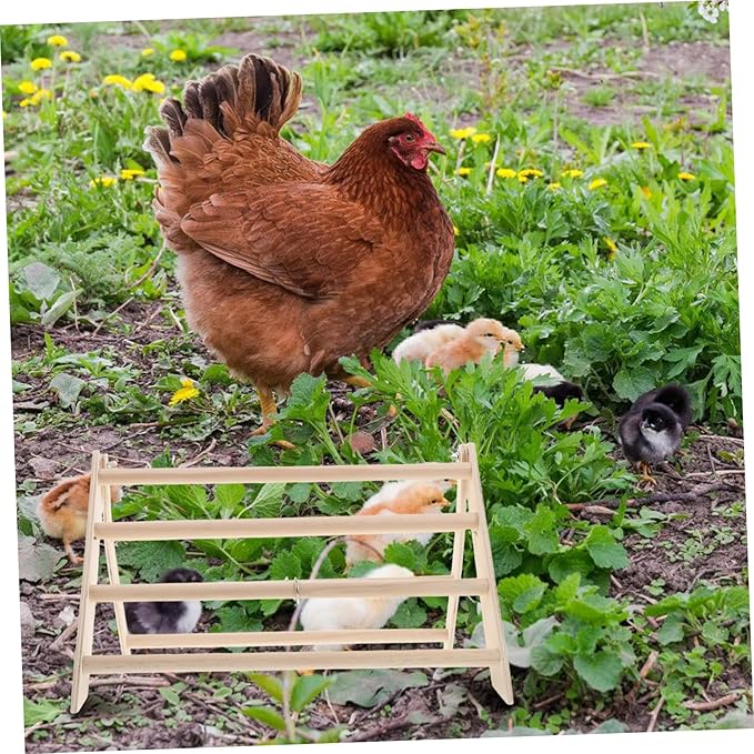 Kisangel Chicken Perch for Coop Wooden Chick Stand Roosting Bar Enrichment Toys Detachable for Easy Cleaning