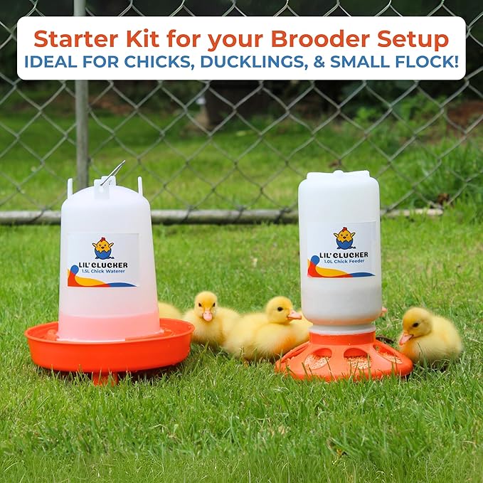 Lil'Clucker 1L Chick Feeder, 1.5L Chicken Waterer - No Leakage Chick Feeder and Waterer Kit, Hanging Baby Chick Waterer, Durable Chicken Water Feeder, Chicken Feeder and Waterer Set, Poultry Waterer