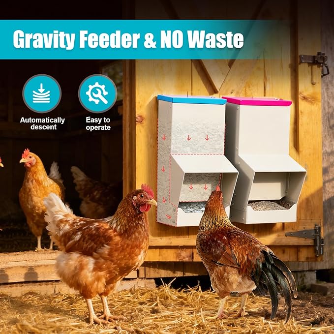10L Chicken Grit and Oyster Shell Feeder Combo,Metal Automatic Chicken Feeder with Lid Chicken Coop Accessories Supplies Hanging Gravity Poultry Feeders Trough for Strong Eggs Poultry