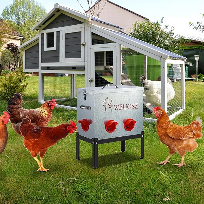 Automatic Chicken Feeder Box 40 lbs 6 Ports Large Capacity No Waste Galvanized Metal Poultry Feeder with Locking Lid and Legs for Hen Coop