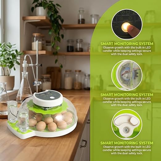 18 Eggs Professional Egg Incubator - Automatic Turning, Precise Temperature & Humidity Control, Egg Candling, 360 - Degree View, Ideal for Farms and Laboratories