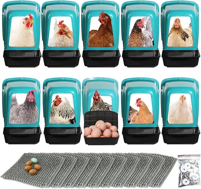 Chicken Nesting Boxes 10 Pack with Egg Roll Out, Plastic Chicken Laying Boxes for Chicken Coop, Wall Mounted Hen Nesting Box for Chickens & Poultry, Durable, Easy to Install & Clean, Green