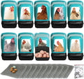 Chicken Nesting Boxes 10 Pack with Egg Roll Out, Plastic Chicken Laying Boxes for Chicken Coop, Wall Mounted Hen Nesting Box for Chickens & Poultry, Durable, Easy to Install & Clean, Green