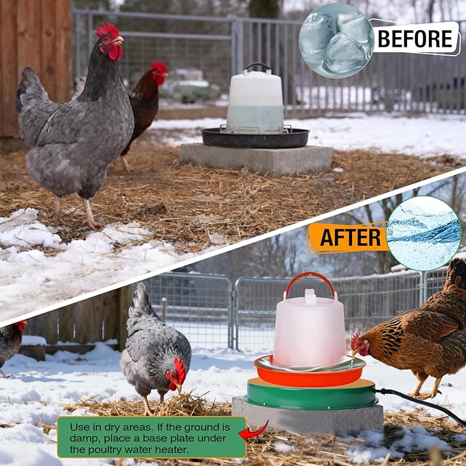 Chicken Water Heater for Winter, 125W Poultry Waterer Heated Base 31.4cm / 12.4in for Metal or Plastic Drinkers 1–5 Gallon, Freeze Proof Thermostat Deicer Chicken Drinker Heater