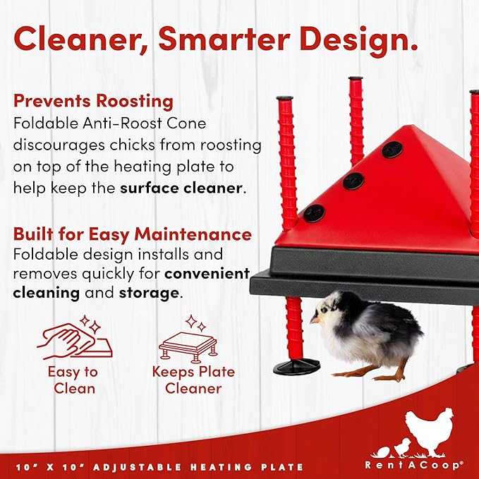 RentACoop 10x10” Adjustable Heating Plate with Bonus Foldable Anti-Roost Cone for up to 15 Chicks | Chick Brooder Heat Plate – Energy-Efficient 15-Watt Chick Heater - Safer Than Heat Lamps