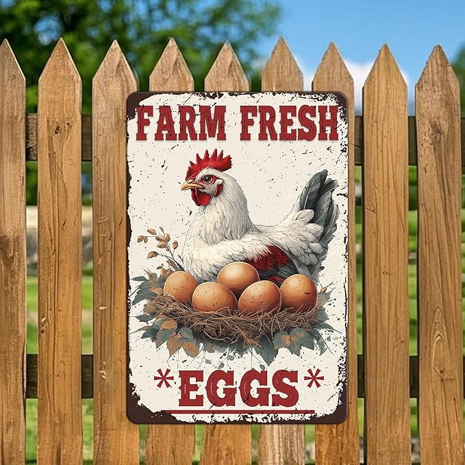 Funny Chicken Signs Farm Fresh Eggs Aluminium Sign Metal Chicken Signs Decor Home Ktichen Farm Are Wall 12x16 Inch Vintage Chicken Signs For Coop Metal Tin Signs Poster