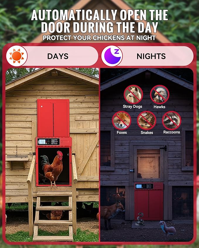 Automatic Chicken Coop Door Solar Powered with XL Large Size 10.8″x 14.2″ Red Auto Chicken Door Design with USB-C Charging & 3 Modes, Anti-Pinch & Aluminum Alloy Weather Proof