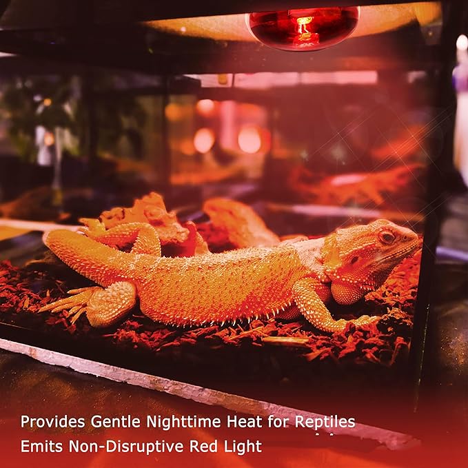 75W UVA Infrared Heat Lamp Bulb, Red Basking Spot Light for Lizard, Leopard Gecko, Turtle, and Chicks, High-Performance Red Heat Emitter for Reptile Tanks, Chicken Brooders & Terrariums