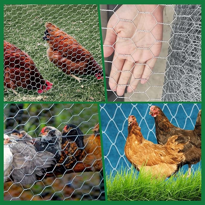 48 Inch x 150 Feet Galvanized Wire Netting Hexagonal Chicken Wire Gardening Enclosures Chicken Fencing for Outdoor