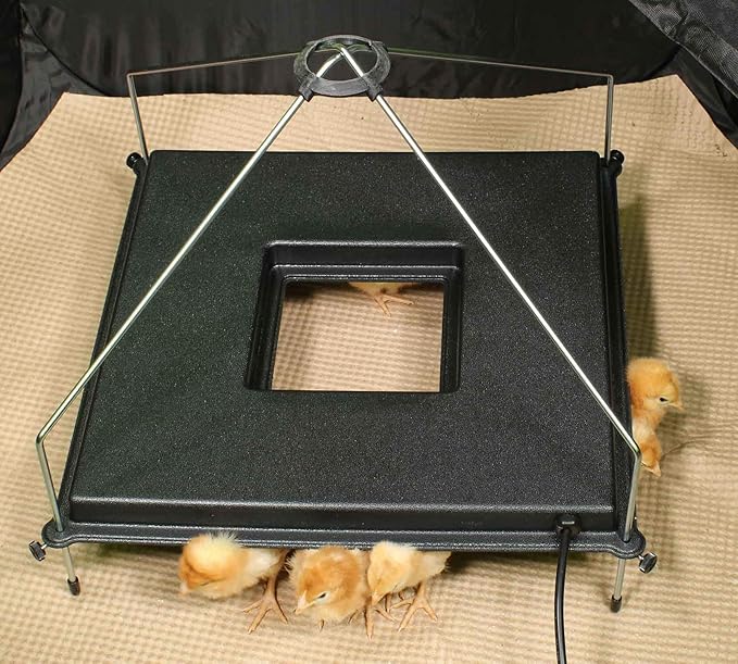 Incubator Warehouse Insta Brooder™ with Vrooder™ Heater Plate - Chicken Pop Up Playpen with Removable Mesh Top - Portable and Foldable Chicken Pen - Indoor Brooder Box for Chicks (36 x 36 x 18 inches)
