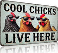 Chicken Decor Cool Chicks Live Here Vintage Tin Sign for Chicken Coop Farm Kitchen Garden Yard Decor 8x12 INCH (3830)