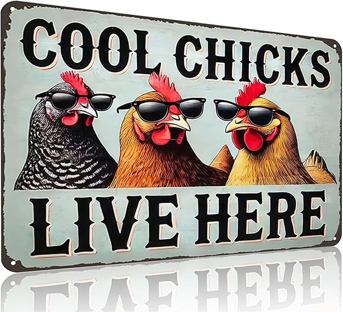 Chicken Decor Cool Chicks Live Here Vintage Tin Sign for Chicken Coop Farm Kitchen Garden Yard Decor 8x12 INCH (3830)