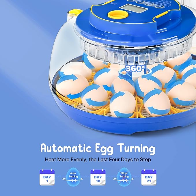 18-36 Eggs Incubators for Hatching Eggs with Automatic Egg Turning and Humidity Control, for Chicken, Duck, Quail, Goose, Parrot Eggs - 360° View for Farm, Classroom, Home Use