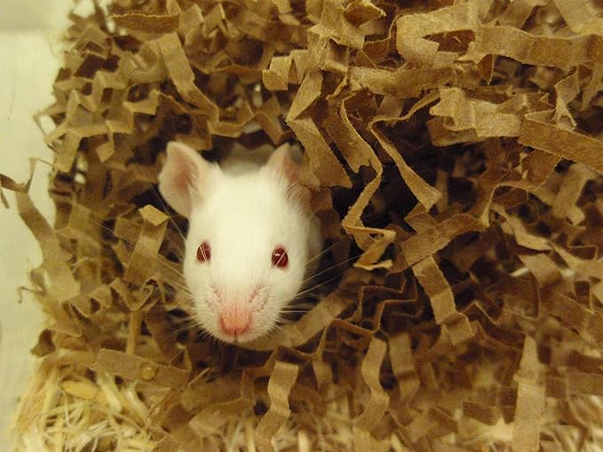 ECO Bedding 99% Dust Free Paper Bedding for Small Pets, Eco Natural Bag, 4.5 lb (Expands to 125 L)