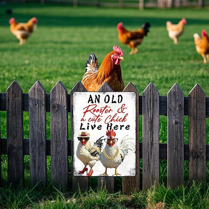 Rooster Wall Decor Chicken Signs Chicken Coop Accessories Metal Tin Sign Vintage Style An Old Rooster And A Cute Chick Live Here Iron Poster 12x16 Inch