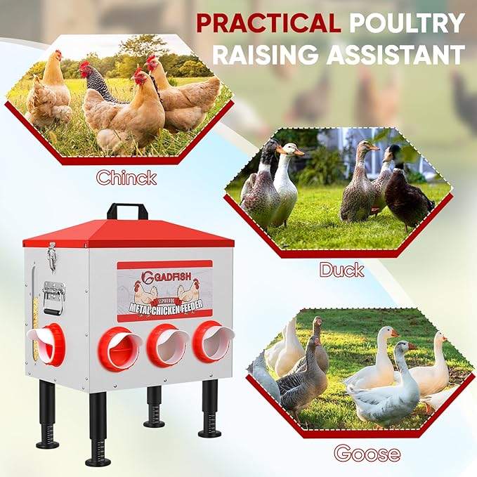 GADFISH 55 lbs Large Capacity Automatic Chicken Feeder - 8 Feeding Ports, No Waste Chicken Feeder, Height-Adjustable Legs & Secure Locking Lid for Chickens, Ducks & Poultry