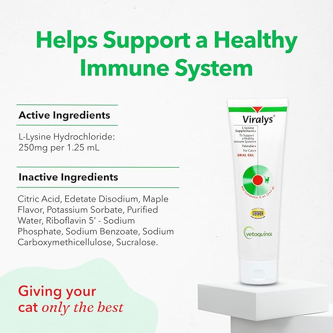 Vetoquinol Viralys Daily L-Lysine Gel for Cats and Kittens, Maple Flavored Lysine Supplement for Cats and Kittens to Support Immune Health, Normal Eye Function and Respiratory Health, 5oz