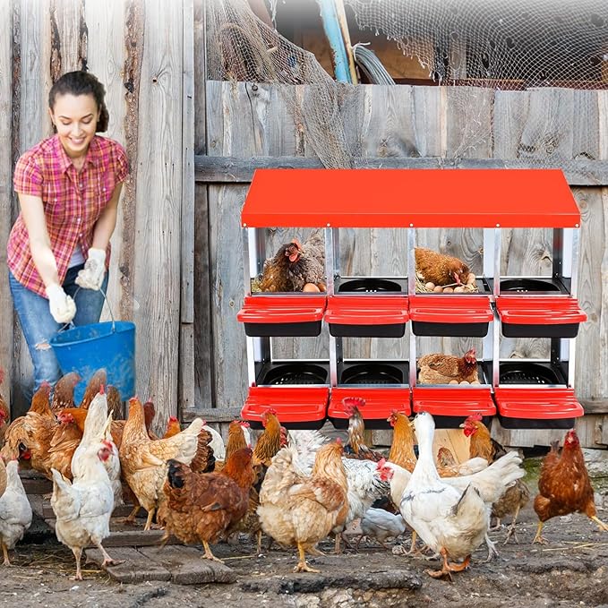 Heavy Duty 8 Hole Chicken Nesting Box with Roll Away Egg Collection System - Rustproof Plastic Tray, Ventilation Holes & Keyhole Mounting - Laying Box for Hens and Ducks (Green)
