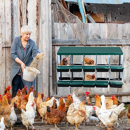 Garvee Chicken Nesting Boxes, 10 Hole Chicken Laying Box with Removable Trays and Roll Out Egg Collection for Chicken Coop, with Metal Legs, Green