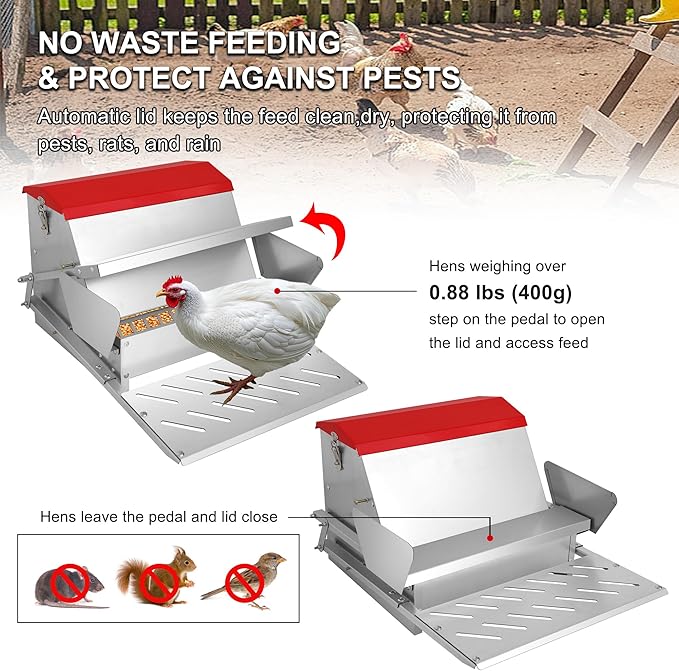 25lbs Automatic Chicken Feeder-Metal Treadle Poultry Feeder, No Waste Rat Proof Chicken Feeder with Sturdy Galvanized Steel Build and Weatherproof Locking Lid for Duck, Fowl, Pheasant Outdoor