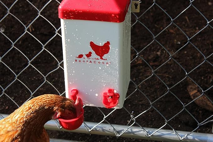 RentACoop Chick2Chicken 5lb 2-Port Feeder and 1-Gal Small Cage Waterer Set - Suitable for Chicks, Chickens, Pigeons, Quail, Game Birds