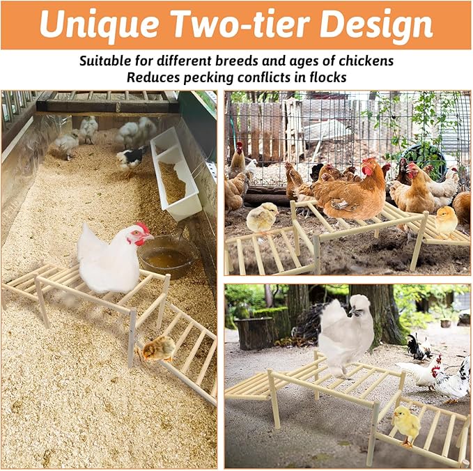 Hamiledyi Sloped Chicken Perch for Coop - Climbable Roosting Perch with Playground Design, Encourages Natural Exercise & Healthy Climbing Activity for Hens (Easy Assembly)