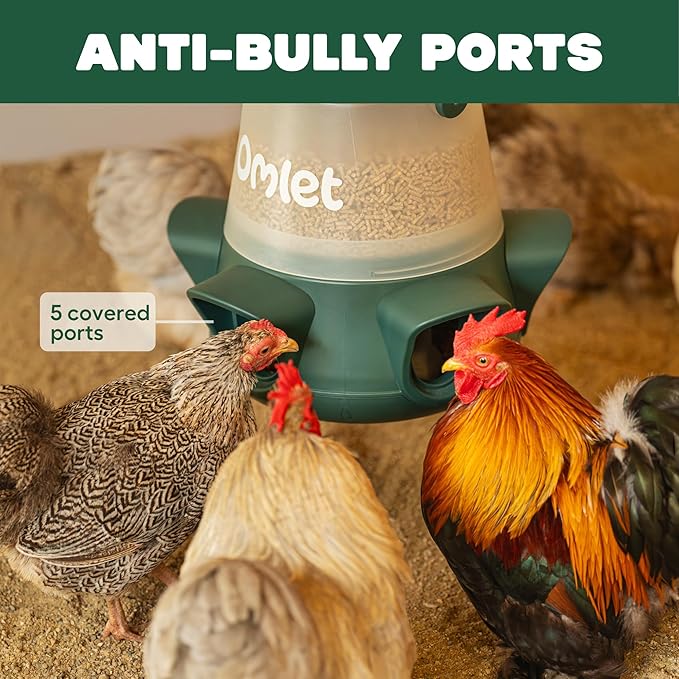 Omlet No Waste Chicken Feeder | No Spill Poultry Feeder | BPA Free 5 Anti-Bully Ports | Easy to Clean | Feeds 6 Hens for 7 Days | 12lb