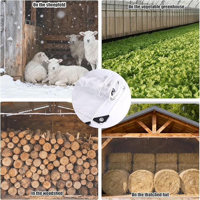 16 Mils Chicken Coop Cover for Winter, 3x2m/10x6.5ft PVC Clear Chicken Run Insulation Tarps Accessories for Sheepfold Bird Cage Vegetable Greenhouse Wind Rain Snow Freeze Resistance