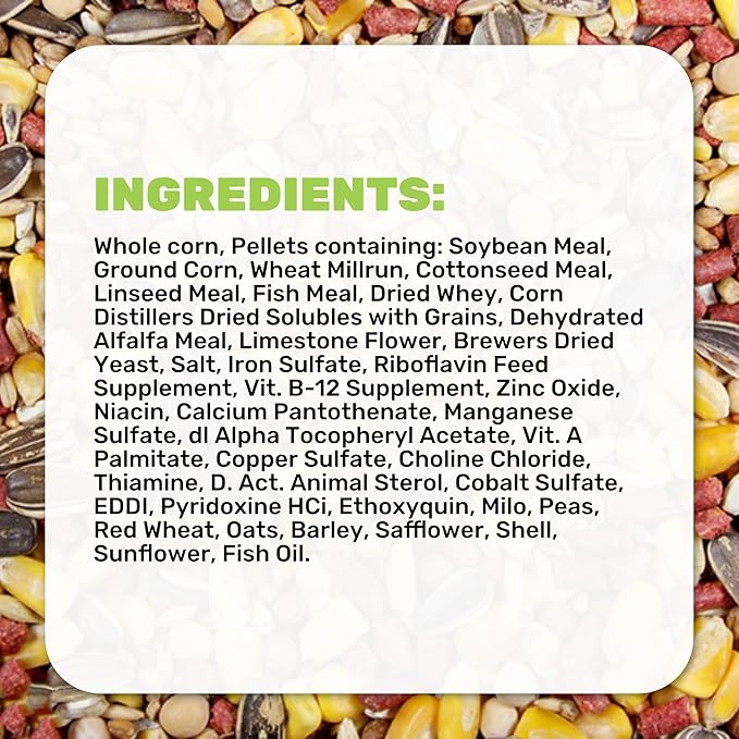 LEACH GRAIN & MILLING CO. Chavez Mix 25 Lbs Bag, Healthy Chicken Feed – Supports Energy & Digestive Health – Balanced Nutrition with Protein, Fiber & Essential Minerals for Chickens & Flock Health