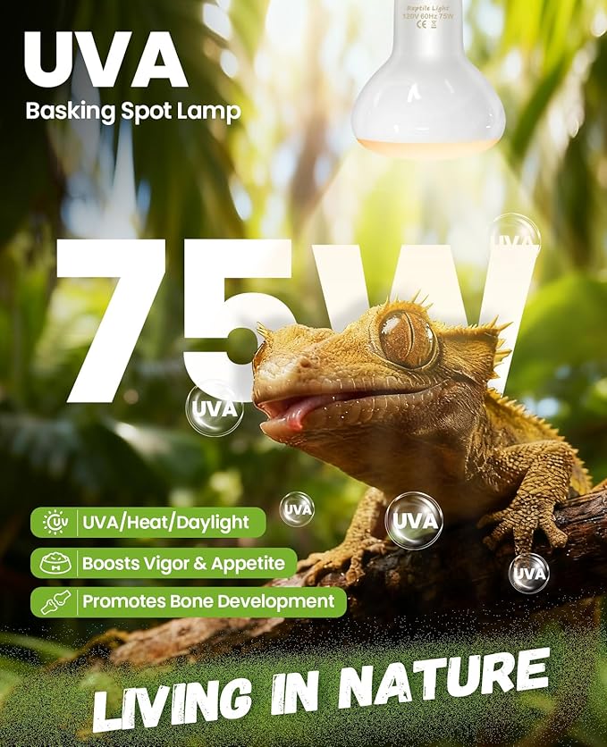 KINDEEP Reptile Basking Light Bulb: 75W Reptile Heat Lamp 2 Pack UVA Daylight Basking Bulb for Amphibian Bearded Dragon Lizard Tortoise Turtle Snake Chicken Pets Heating