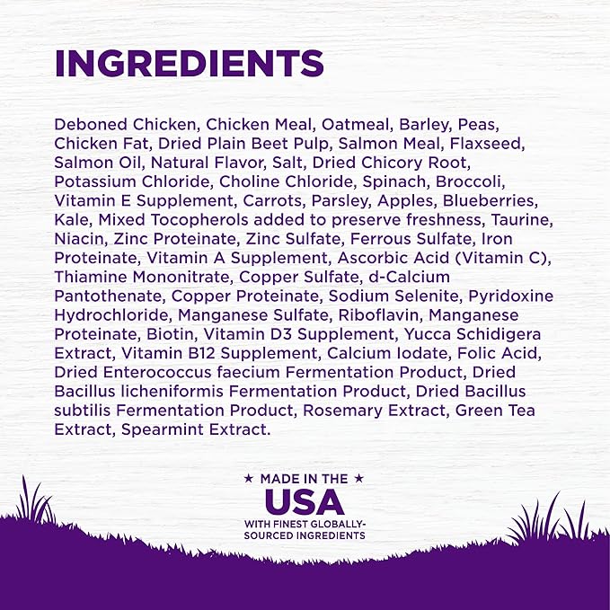 Wellness Complete Health Puppy Dry Dog Food, Wholesome Grains, Natural, Chicken, Oatmeal, & Salmon Recipe, (15-Pound Bag)