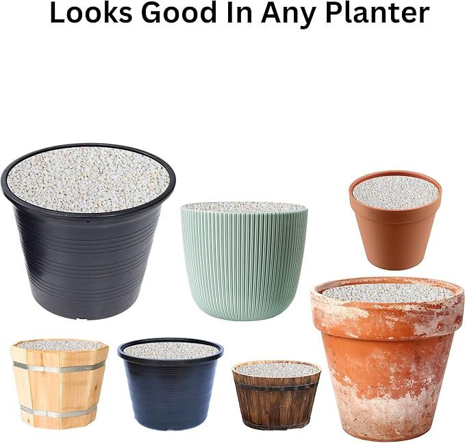 Soils, Mulches & Planting Media (Perlite, 4 Quarts), Red