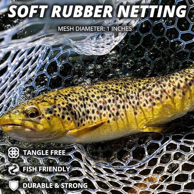 Large Telescoping Fishing Net, Folding Landing Net with Long Handle, Rubber Netting, Lightweight, Length 56″-75″, Hoop Size 20″ x 19″, Depth 20″, 25 lbs. Capacity
