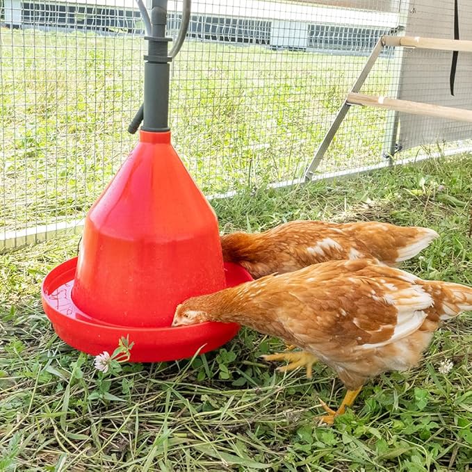 Premier 1 Suspended Dome Drinker for Chickens, Ducks, Geese & Turkeys
