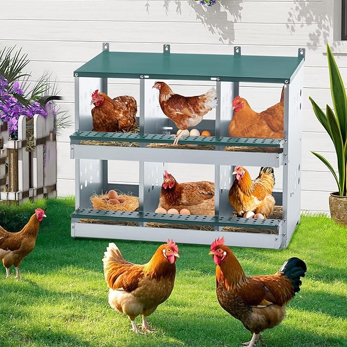 Chicken Nesting Box for Laying Eggs - 6 Room Chicken Laying Boxes, Nesting Boxes for Chickens, Heavy Duty Metal Chicken Coop,33.07" L x 16.92" W x 25.59" H