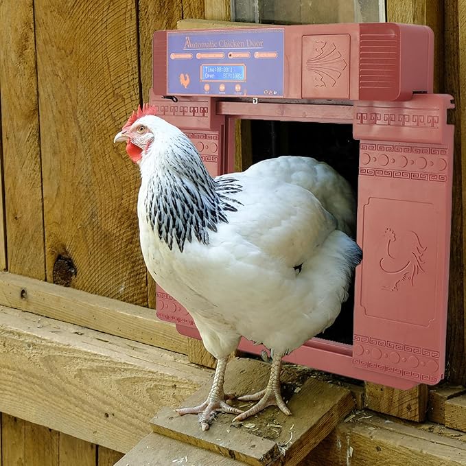 Solar Automatic Chicken Coop Door, Double Open Type Remote Control Timing Poultry Door, Light Sensing Solar Powered Chicken Coop Opener with Anti Pinch Safety for Duck Goose Farm, (Antique Bronze)