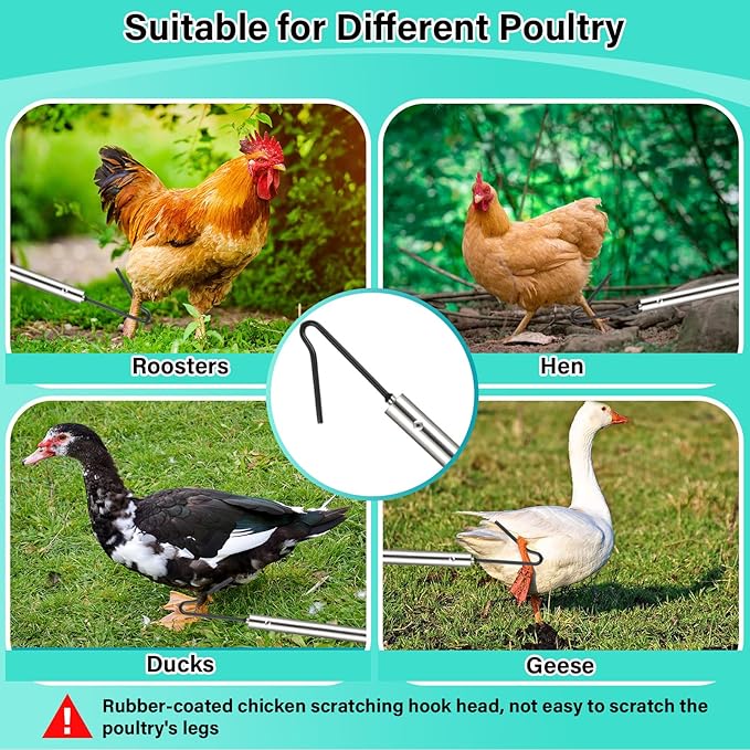 Chicken Catcher Net,37 to 93in Chicken Catcher Leg Hook Extra Long Handle Animal Catcher Pole Heavy Duty with Frosted Tube Extension Pole Poultry Hook Fowl Catcher (Silver 75in)