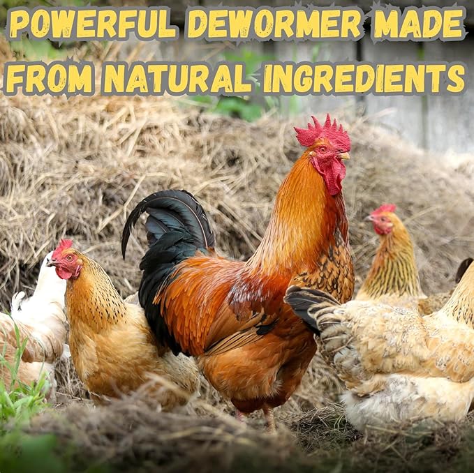 Chicken Digestive Support for Laying Hens – Natural Formula with Chili, Garlic & Pumpkin Seed – Helps Maintain Gut Health, Digestion & Metabolism for Backyard Chickens & Poultry | US-Made | 200g Pouch