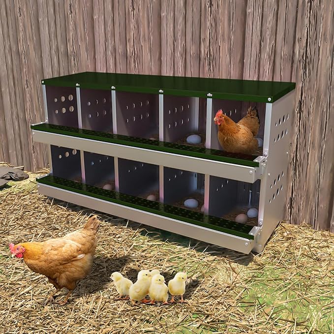 Chicken Nesting Boxes, 10 Compartment Metal Chicken Laying Box with Roll Out Egg Collection, Waterproof & Rustproof Laying Boxes for Hens Chickens, Ventilation & Perch, Green 10 Room