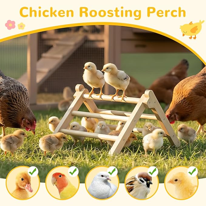 Innoland Chick Perch Foldable, Chick Toys Stable & No Assemble, Baby Chick Toys for Stand Training, 12.44" ×11.02" ×7.44" Chick Roosting Perch for Chicks Brooder | Coop (L)