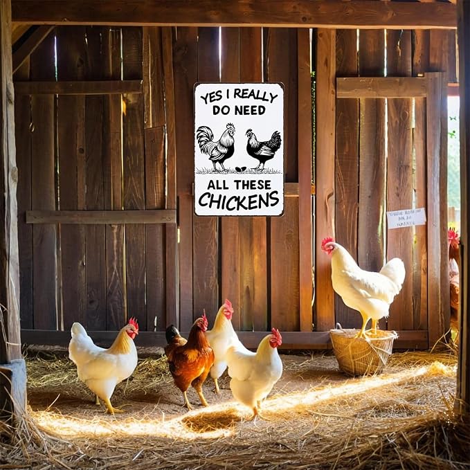 Funny Vintage Metal Chickens Signs Decor for Coop Farmhouse