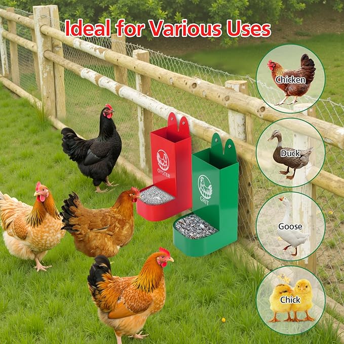 2Pack Chicken Grit and Oyster Shell Feeder for Hens – US Patent Pending – Heavy-Duty Metal Chicken Feeder with Rounded Edges – Chicken Coop Accessories Improve Eggshell Quality and Hen Health