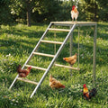 Chicken Perch for Coop, Heavy-Duty Roosting Bars for Chicken in Coop, Sturdy Poultry Ladder for Hens, Perfect for Backyard Poultry, Easy Assemble & Clean