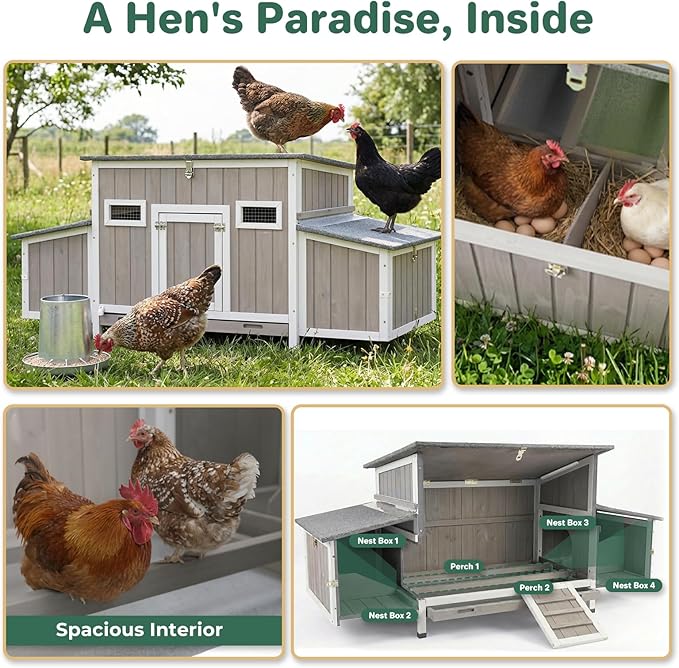 PetsCosset 62" Chicken Coop for 2-4 Chickens, Large Hen House with 4 Nesting Boxes, Openable Waterproof Roof, Roosting Bars, Lockable Doors & Pull-Out Tray, Weatherproof Outdoor Chicken House