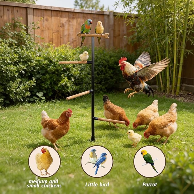 Large Chicken Roosting Bars, Wooden 4-Branch Perch & Outdoor Bird Playground Toy,Chicken Perch for Coop & Backyard,50" H x 16.5" R, 4-Prong Metal Ground Plug,for Small Poultry, Bird & Parrots