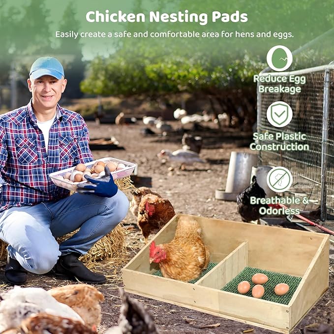 8 Pcs Chicken Nesting Pads, Washable Nesting Box Liners for Chicken Coop, Reusable Plastic Nest Box Pads with 4 Pcs Fake Wooden Eggs, Chicken Laying Mats, 12×12×0.8 inch